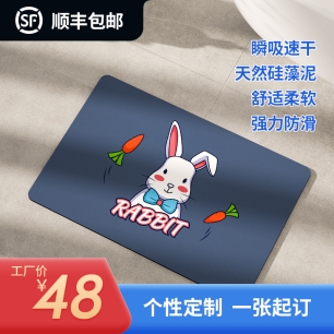 硅藻泥吸水软垫浴室厨房阳台卫生间卧室门口脚垫防滑地垫